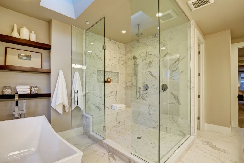 Luxury Shower with Built-In Niche