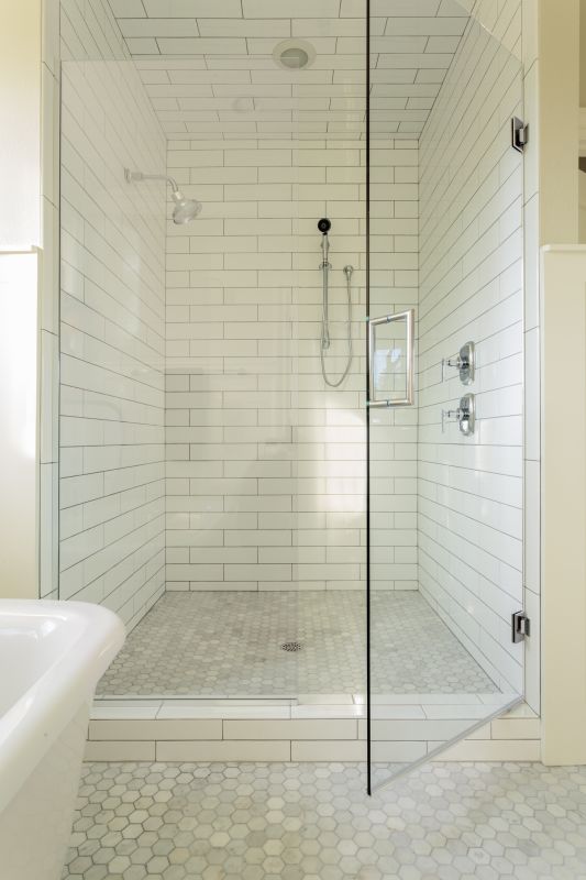 Modern Shower with Accent Tiles